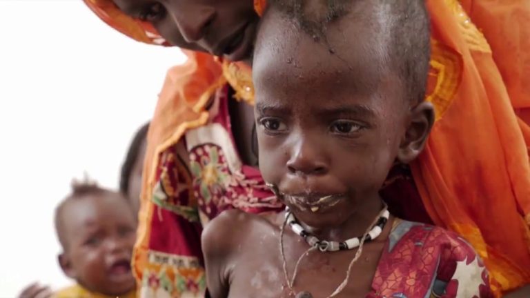 Food Security Situation in northeastern Nigeria, Somalia, South Sudan a…