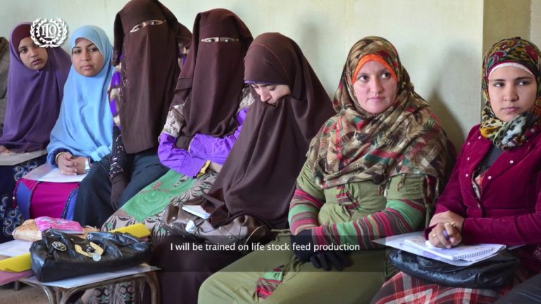 Social Entrepreneurship: A Link between Youth Employment and Social Ca…