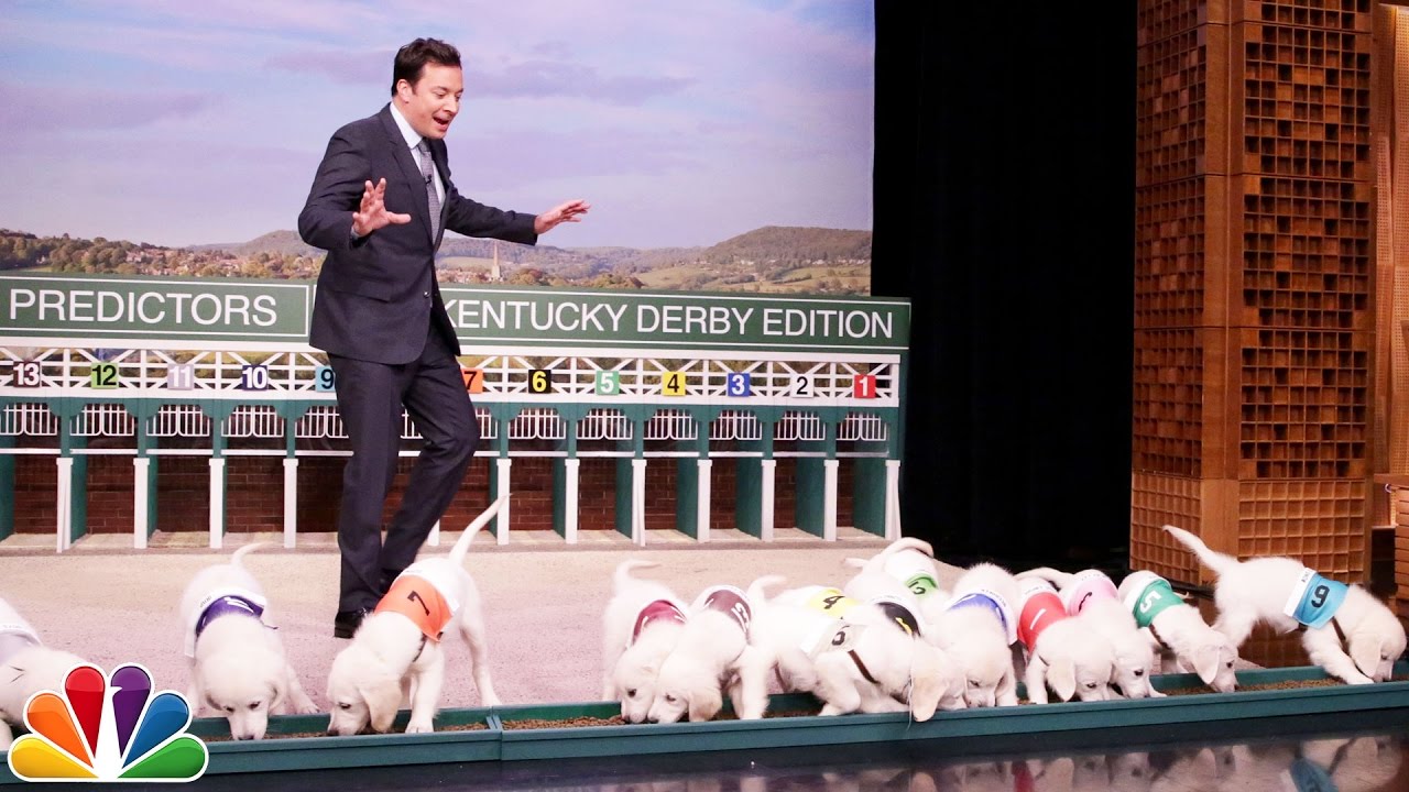 Puppies Predict the 2017 Kentucky Derby