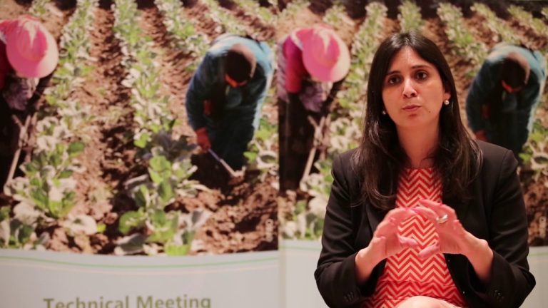 Technical Meeting on Social Protection as a Tool for Poverty Reduction