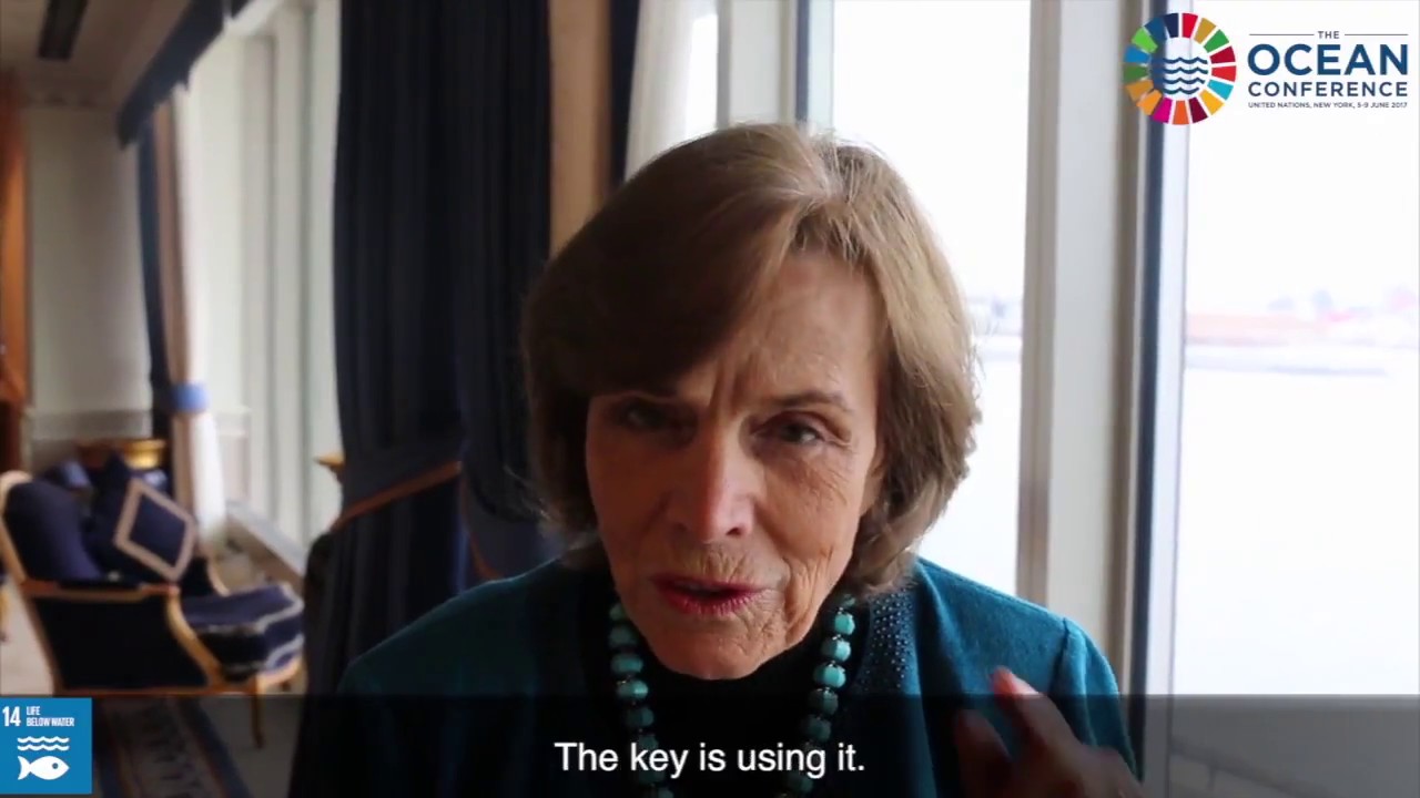 The Ocean Conference  What can we do to #SaveOurOcean