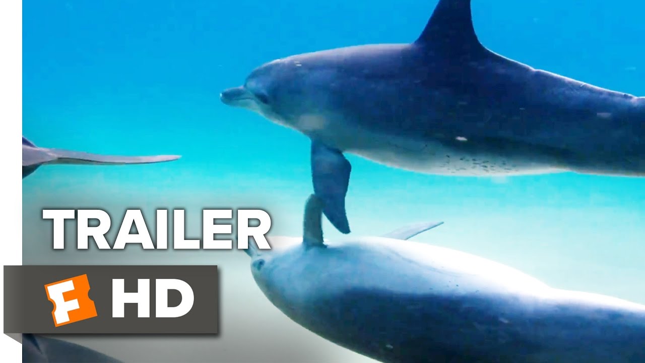 Disneynature’s Dolphins Trailer #1 (2018) | Movieclips Trailers