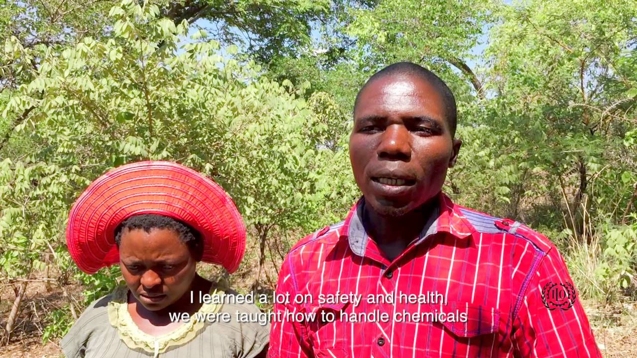 Improving productivity, living and working conditions for small holder…