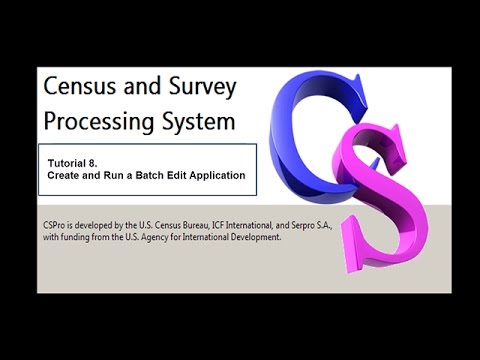 CSPro: Create and Run a Batch Edit Application