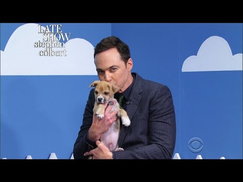 The Late Show ‘Rescue Dog Rescue’ With Jim Parsons