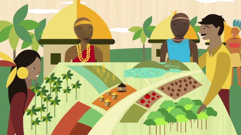 FAO, Indigenous Peoples and the Free, Prior and Informed Consent (FPIC)