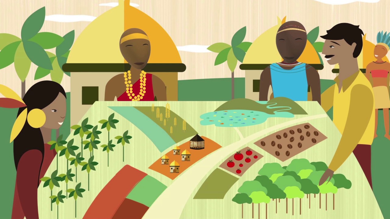 FAO, Indigenous Peoples and the Free, Prior and Informed Consent (FPIC)