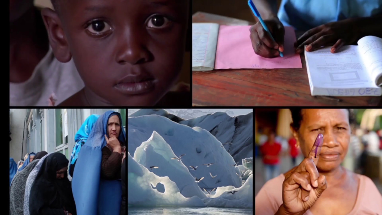 The Week in Review – 12 May 2017