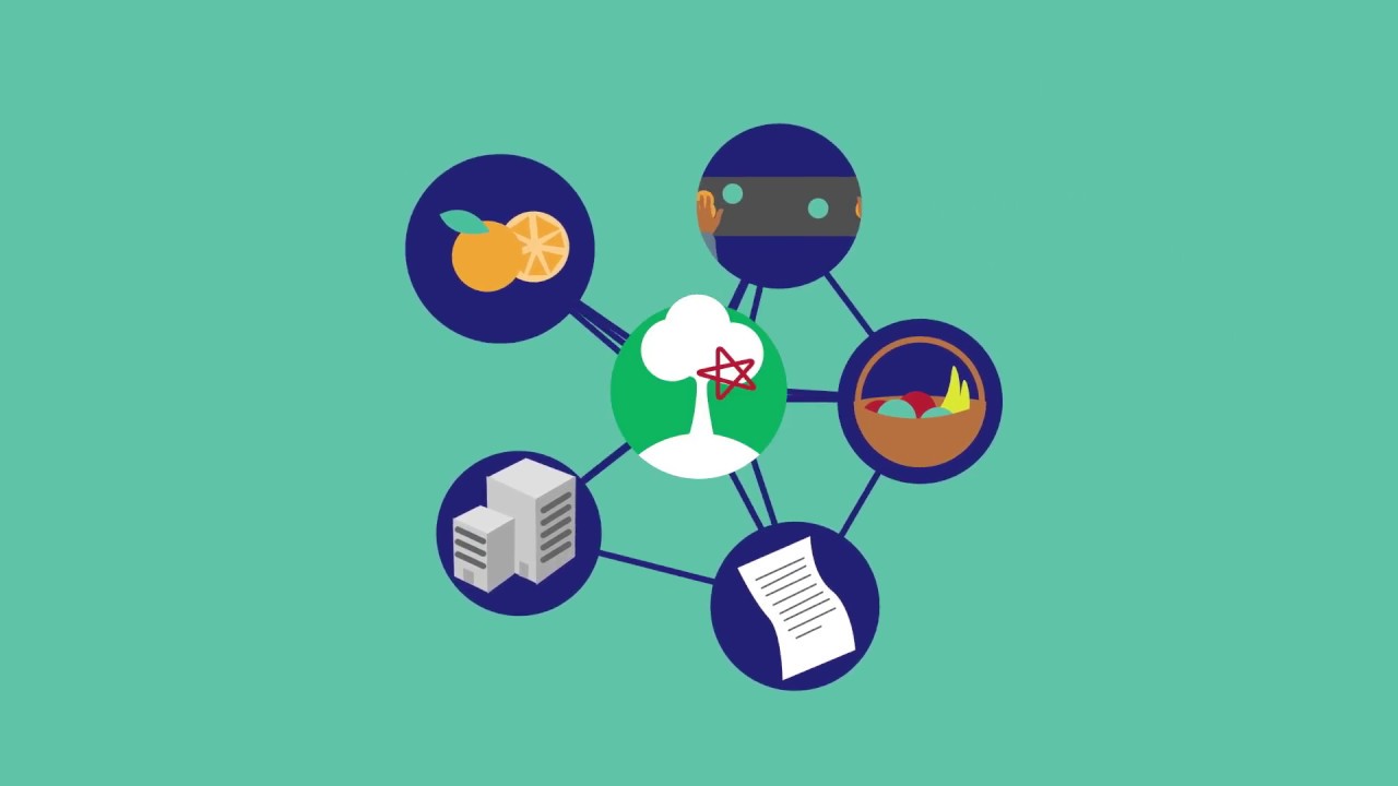 Sustainable value chains in Morocco