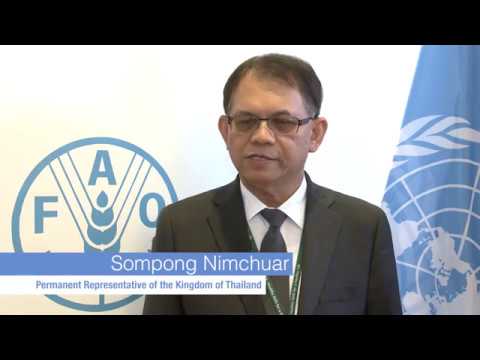 Remarks by Sompong Nimchuar, Permanent Representative of the Kingdom of…