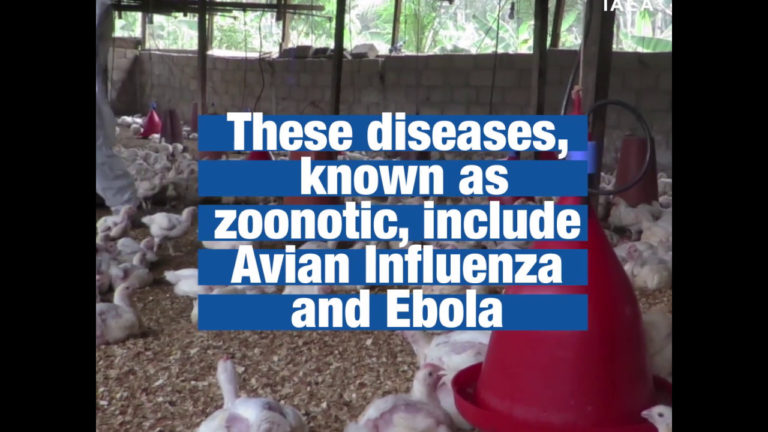 Vets in Africa help prevent spread of zoonotic diseases