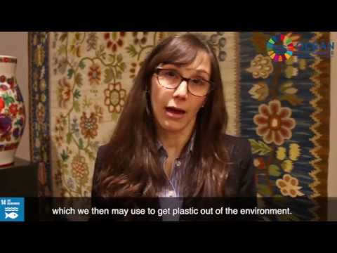 The Ocean Conference: Chelsea Rochman on reducing plastic pollution