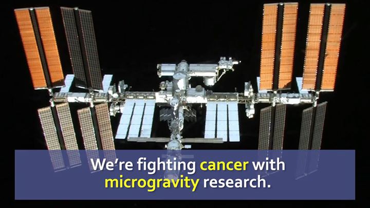 Cells grown in space arrange themselves into three-dimension…