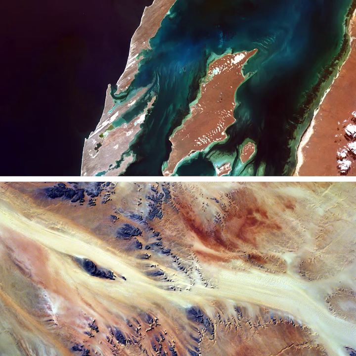 Did you know that on the International Space Station there’s…