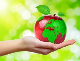 Food Security | ESA’s ARTES Applications