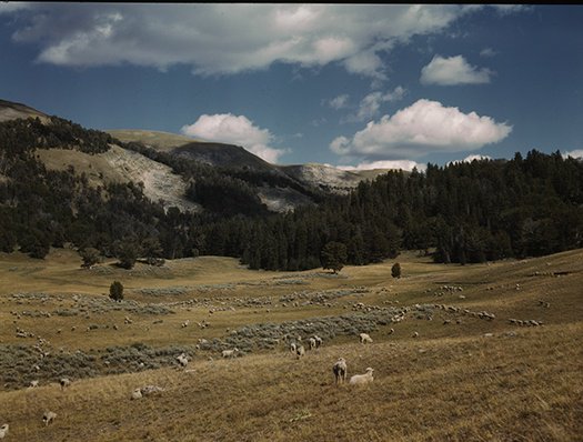 Today in 1864, President Abraham Lincoln signs an enabling act creating the terr…