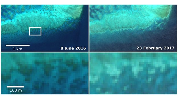 Sentinel-2 captures coral bleaching of Great Barrier Reef