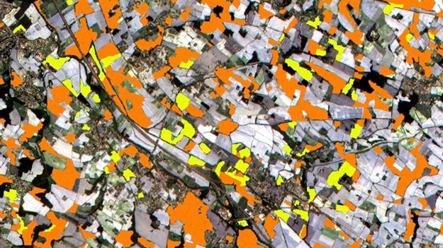 Bringing satellite data to farmers