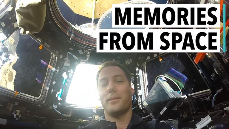 Fixing the toilet is the worst chore on earth — and in space