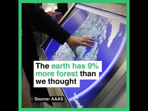 The earth has 9% more forest than we thought