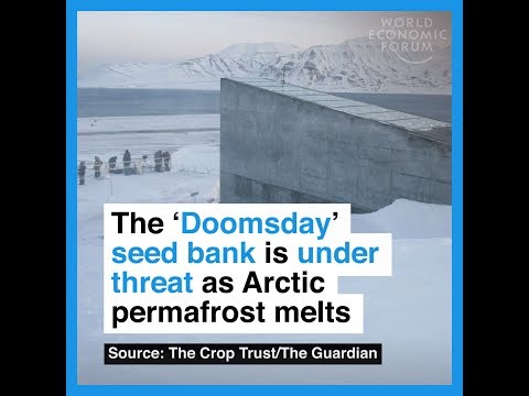 The ‘Doomsday’ seed bank is under threat as Arctic permafrost melts
