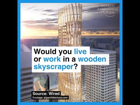 Would you live or work in a wooden skyscraper?