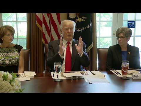 President Trump has Lunch with Members of Congress