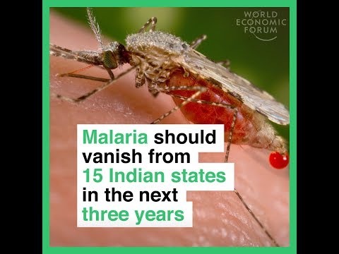 Malaria should vanish from 15 Indian states in the next three years