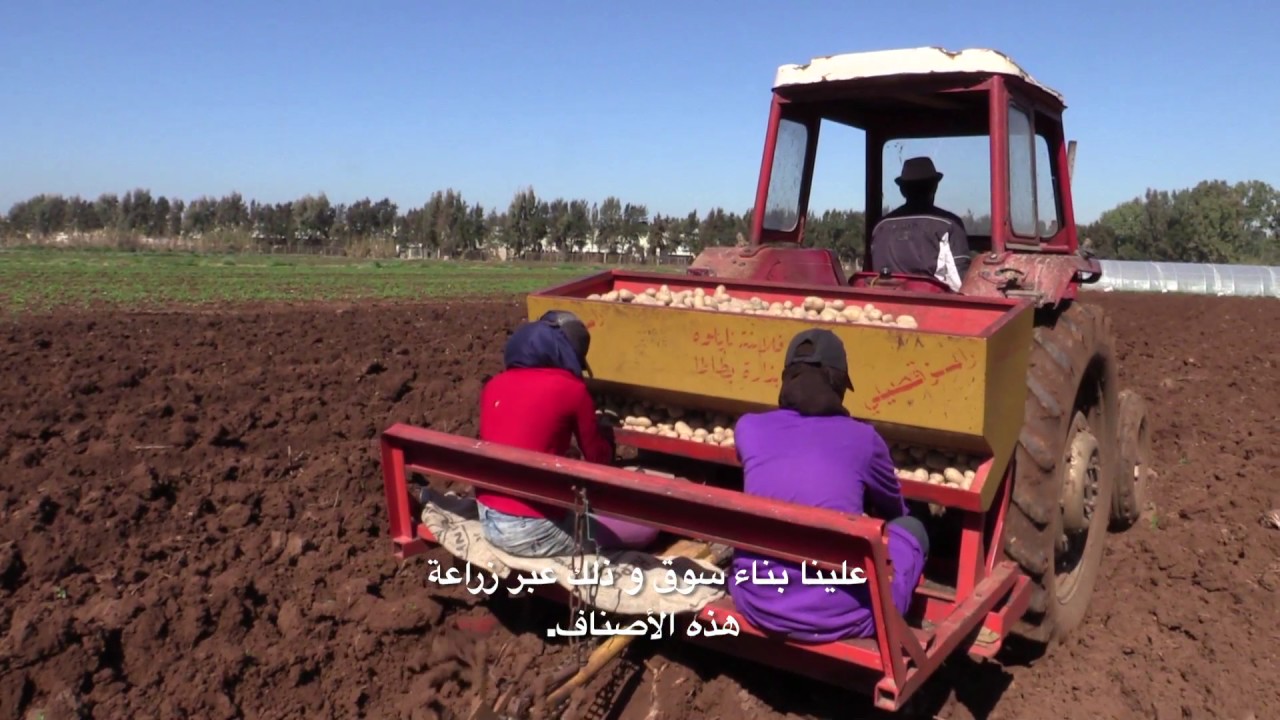 Introducing Lebanese farmers to new varieties of potatoes and wider ma…