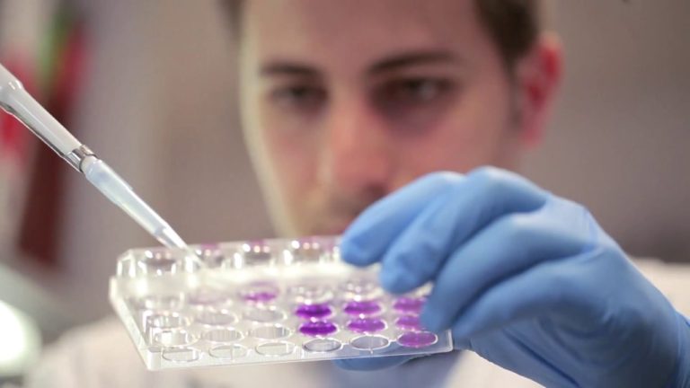 Skills Development for Trade, Employability and Inclusive Growth: Skil…