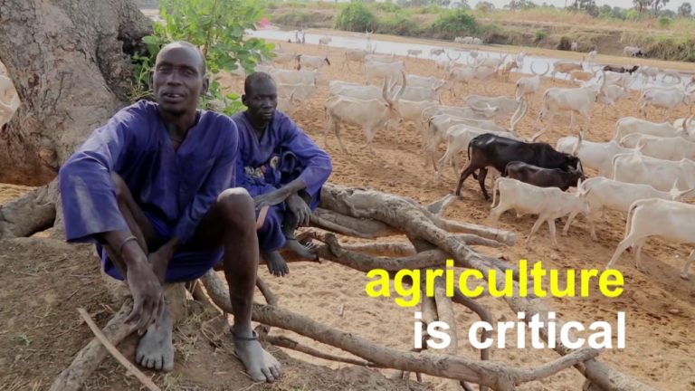 Saving Livelihoods saves lives – #UNFAO #FightingFamine in #Nigeria, #S…