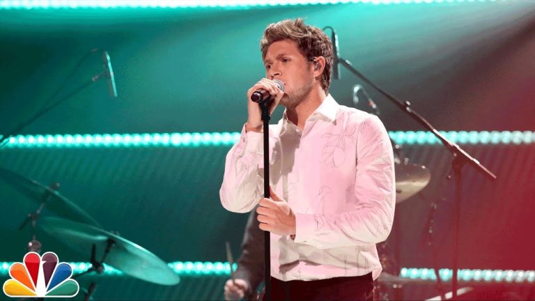 Niall Horan: Slow Hands