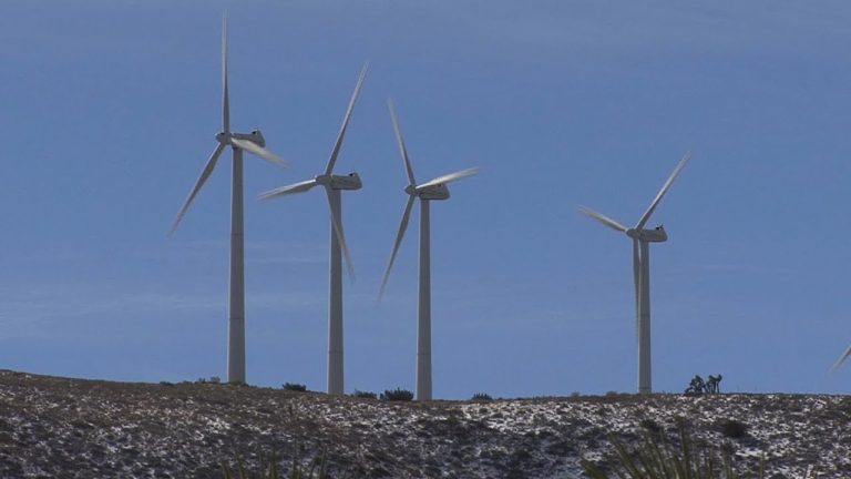 Climate Change: Mobilizing the World (Excerpt)