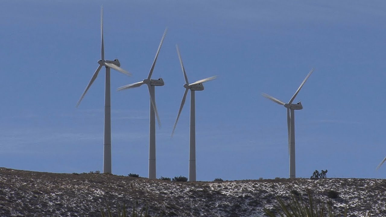 Climate Change: Mobilizing the World (Excerpt)