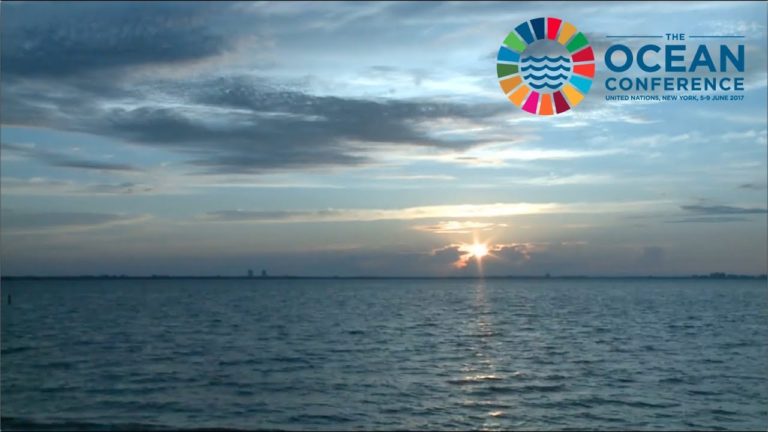 Turning the tide to #SaveOurOcean