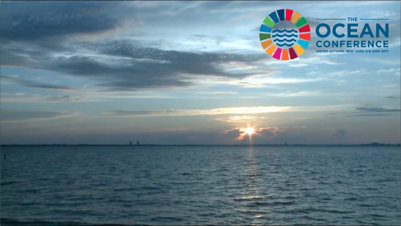 Turning the tide to #SaveOurOcean