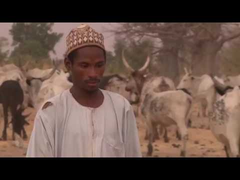 The IAEA’s Driving Force for Development