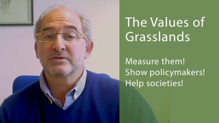 Grasslands – Measuring Its Multiple Values. Interview with Alexandre Ic…