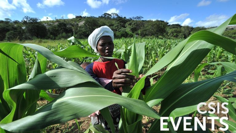 Biofortification: Better Crops, Better Nutrition