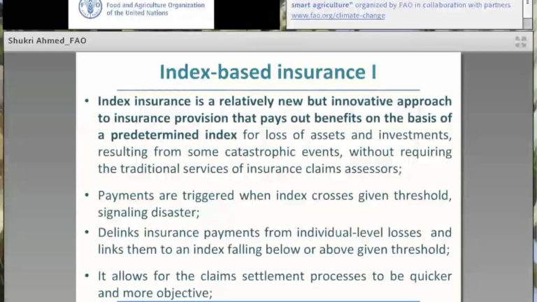 Key elements for index-based insurance support to address climate chang…