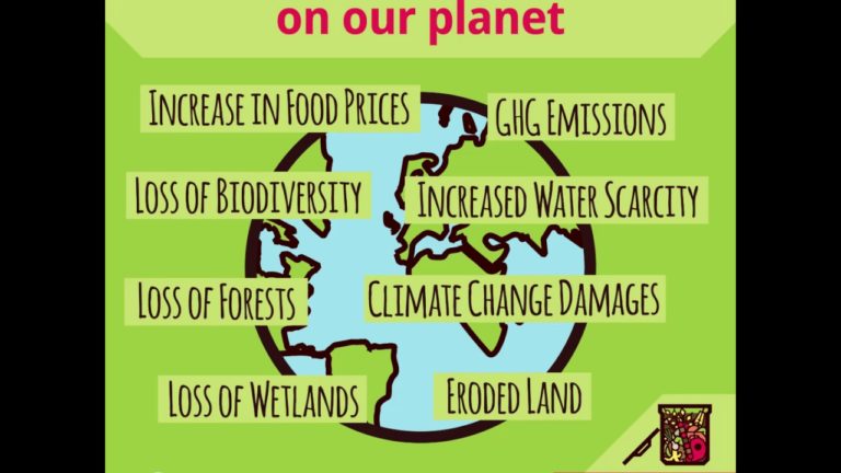 Are we ready to pay nature’s bill?