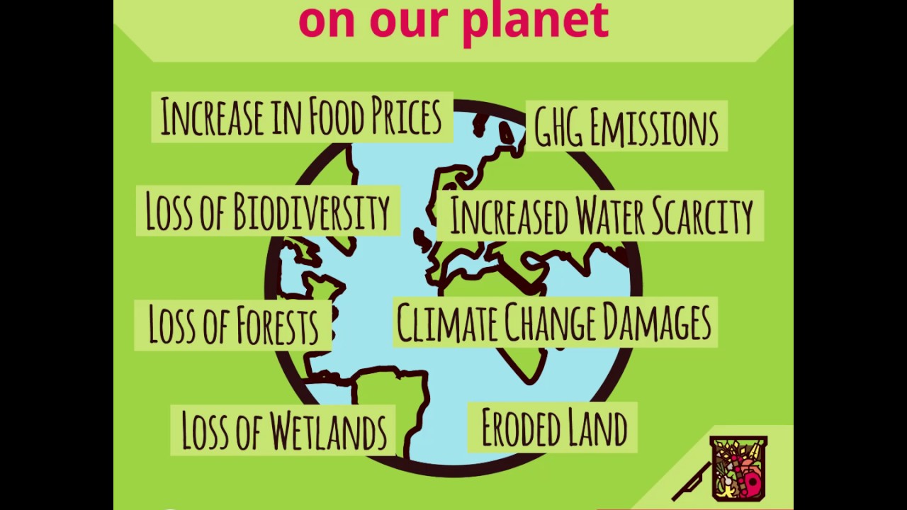 Are we ready to pay nature’s bill?