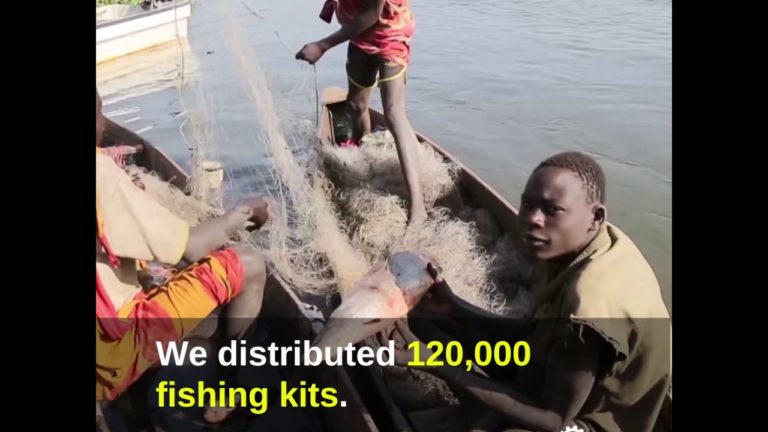 Saving Livelihoods in South Sudan