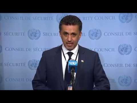 SC President (Bolivia) on Central African region – SC Media Stakeout (13 June 2017)