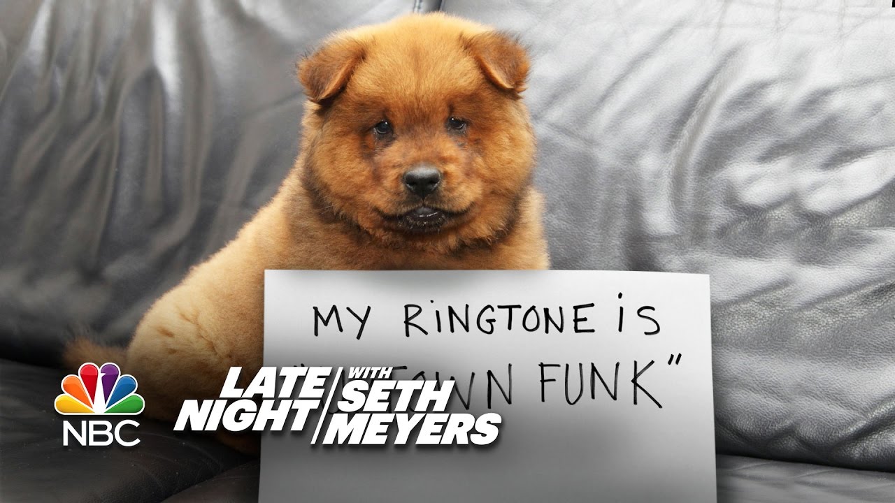 Extreme Dog Shaming: “Uptown Funk” Ringtone, Addicted to Botox