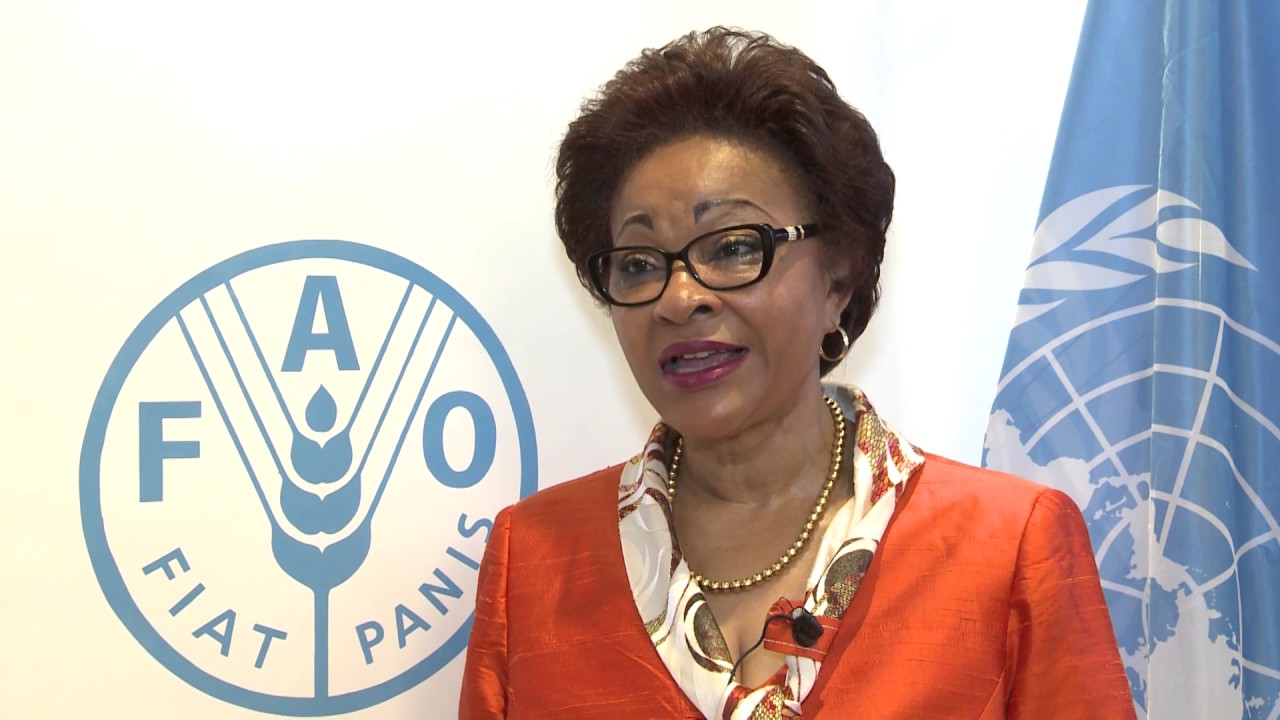 Josefa Leonel Correia Sacko, African Union Commissioner.