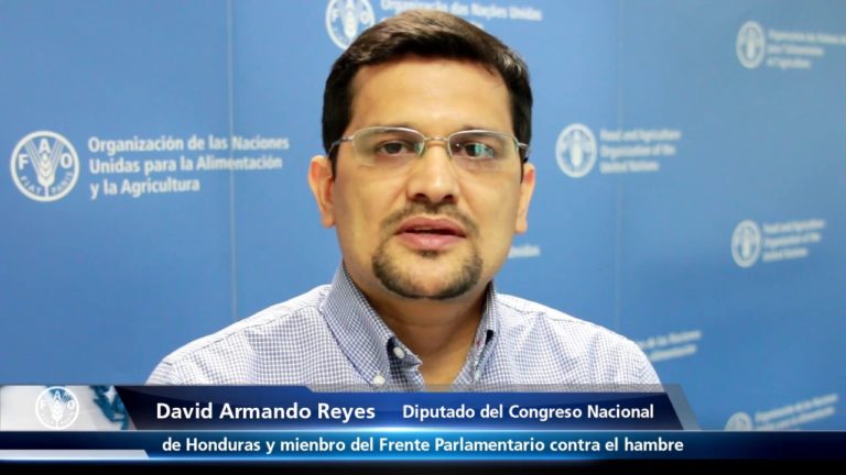 David Armando Reyes – Diputado Congreso de Honduras y miembro del FPH