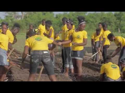 Comment les conflits et les catastrophes alimentent le travail des enf…