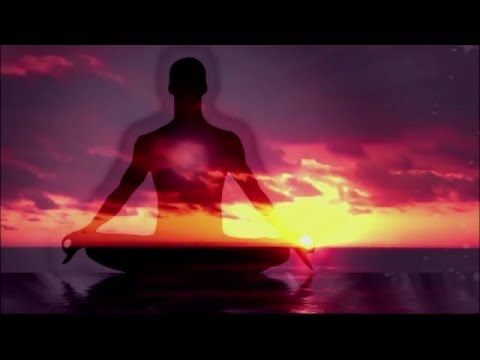 International Day of Yoga 2017 Highlights