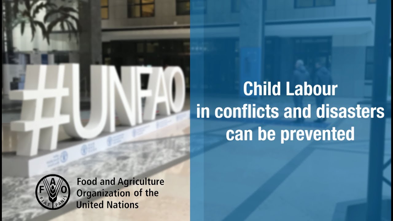 Preventing child labour in conflicts and disasters